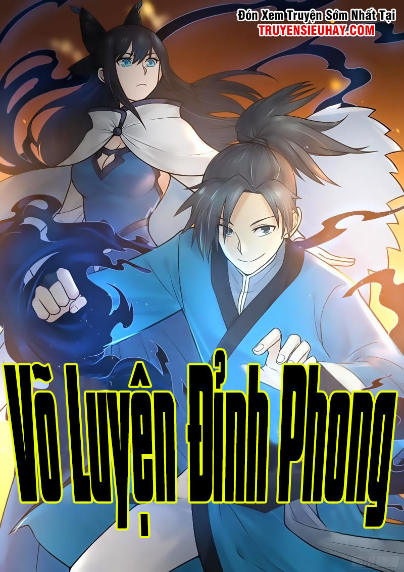 Võ Luyện Đỉnh Phong chapter 53 - Trang 2