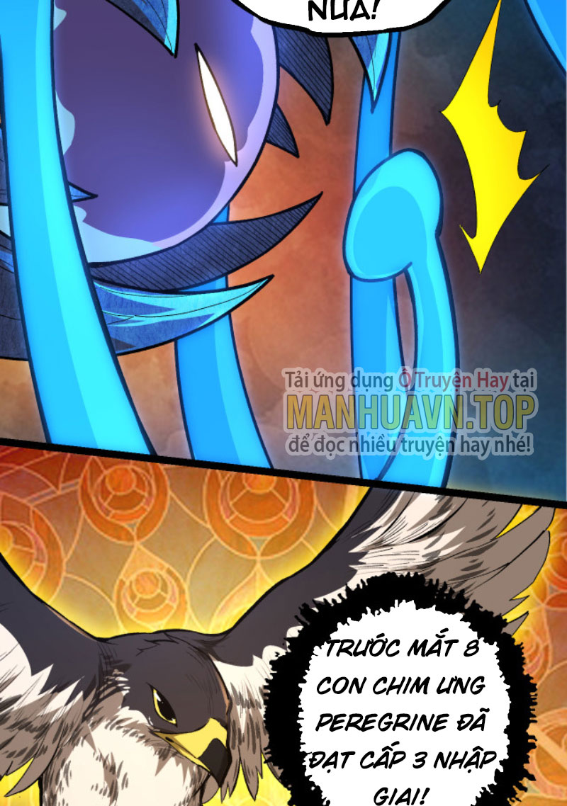 Từ Cây Cổ Thụ Bắt Đầu Tiến Hóa Chapter 5 - Trang 3