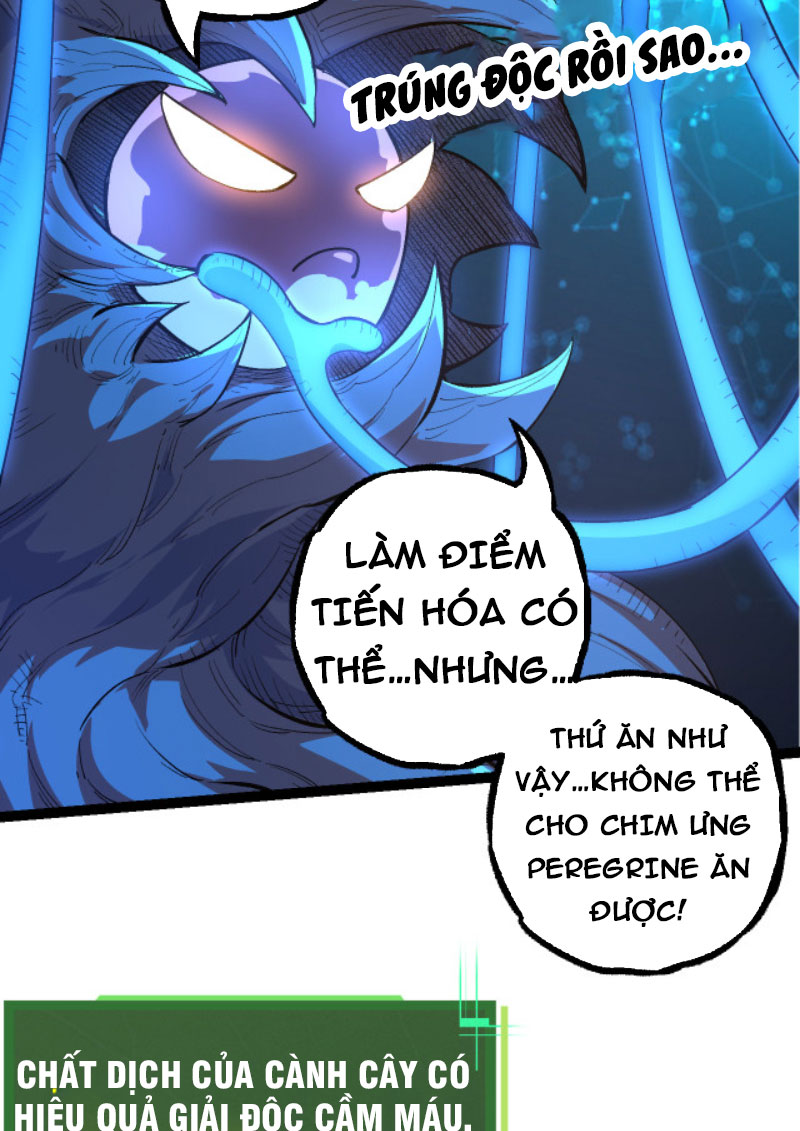 Từ Cây Cổ Thụ Bắt Đầu Tiến Hóa Chapter 3 - Trang 5