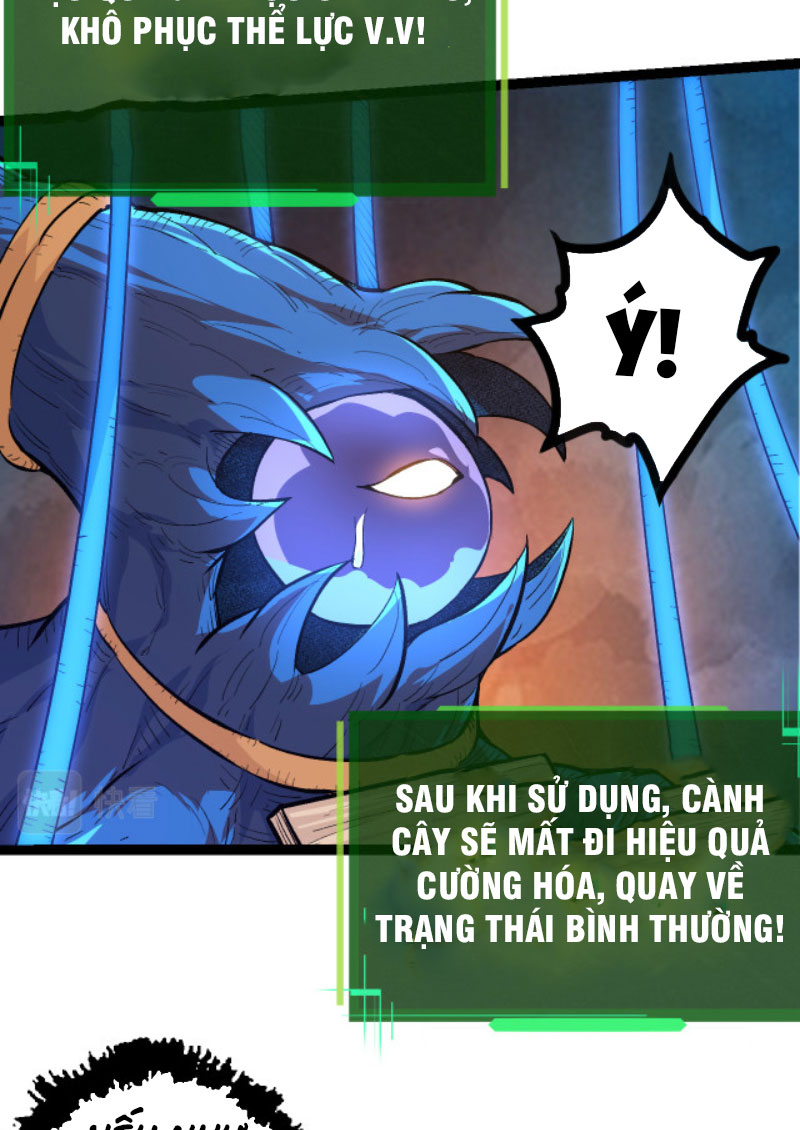 Từ Cây Cổ Thụ Bắt Đầu Tiến Hóa Chapter 3 - Trang 6