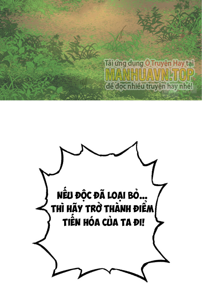 Từ Cây Cổ Thụ Bắt Đầu Tiến Hóa Chapter 3 - Trang 13