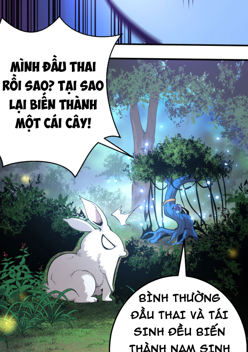 Từ Cây Cổ Thụ Bắt Đầu Tiến Hóa Chapter 1 - Trang 22