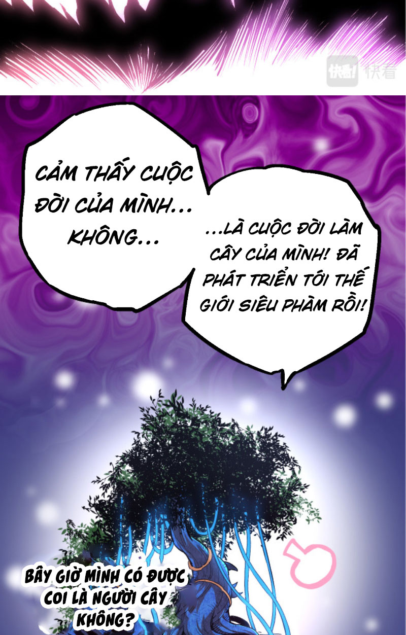 Từ Cây Cổ Thụ Bắt Đầu Tiến Hóa Chapter 3 - Trang 39